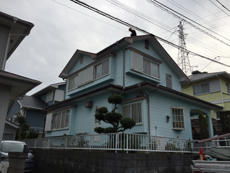 B_03_Ngse_hirayamadai.JPG
