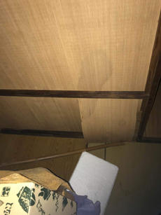 B_02_Sik_higashiyama.jpg