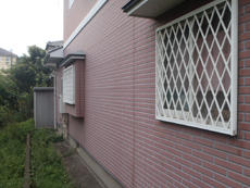 B_03_MtNg_kubara.JPG