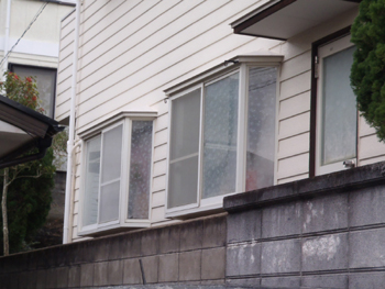 B_02_Kun_hirayamadai.JPG