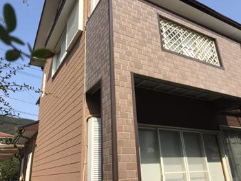 A_05_Ngse_hirayamadai.JPG