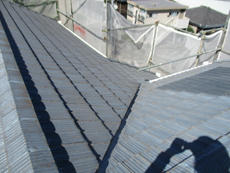 S_28_Mtmt_mihara.JPG