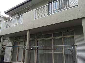A_05_Kun_hirayamadai.JPG