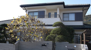20150115k_af1.jpg