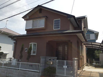 A_01_Ngse_hirayamadai.JPG