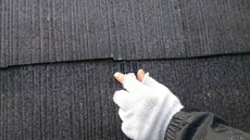 20150127h_21.jpg