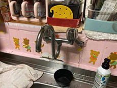 B_02_Ski_narumidai.jpg
