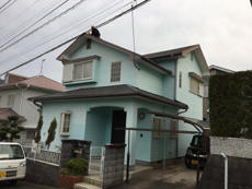 B_02_Ngse_hirayamadai.JPG