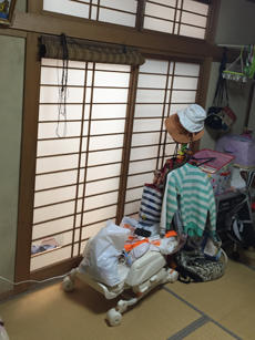 B_04_Sgn_hirayamadai.JPG