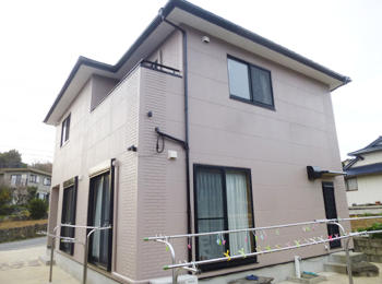 A_02_KMB_mejiro.JPG