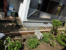 S_03_Fj_wakaba.JPG