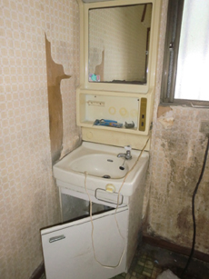 S_03_Y_hirayamamati.JPG