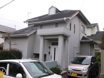 B_01_M_hirayamadai.JPG