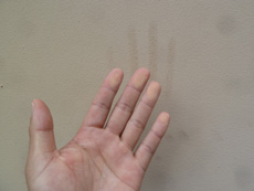 20141208k_be2.jpg