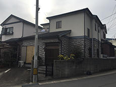 B_01_Fkys_wakakusa.JPG
