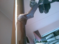 20141212h_23.jpg