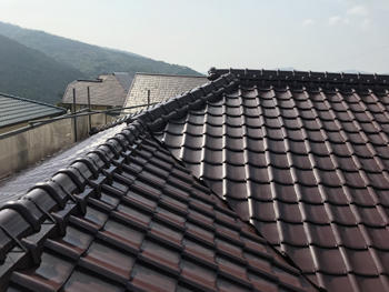A_02_Knk_narumidai.JPG