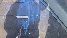 20150127h_20.jpg