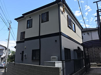 A_02_Fkys_wakakusa.JPG