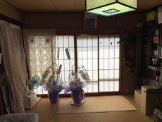 B_02_Ymd_daiyaland.JPG