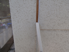 S_05_W_hirayamadai.JPG