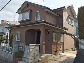 A_02_Ngse_hirayamadai.JPG
