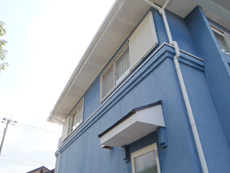 20150116t_be5.jpg