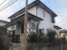 B_02_Urs_kubara.jpg