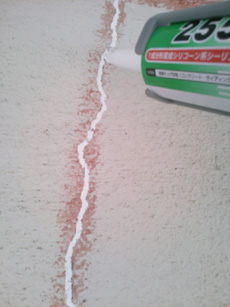 20150116a_07.jpg