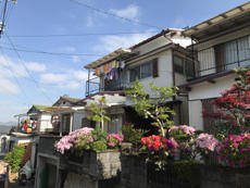 B_01_YmgC_mihara.JPG