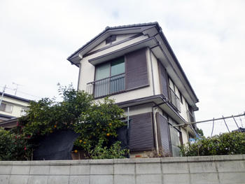 A_03_Mto_izumi.JPG