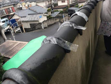B_01_YsD_yanagidani.jpg