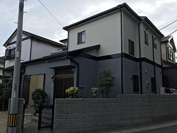 A_01_Fkys_wakakusa.JPG