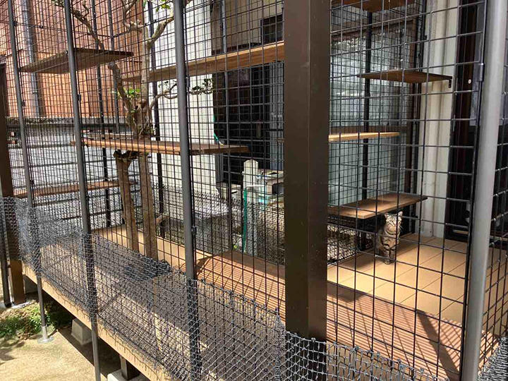 長崎市N様邸 猫ハウス造作リフォーム事例