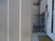 S_08_M_hirayamadai.JPG