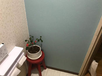 A_02_Mrn_turumidai.jpg