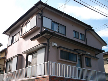 B_02_Nd_hirayamadai.JPG
