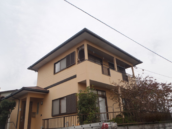 B_01_Mtmt_fukuda.JPG