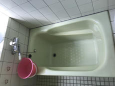 B_02_YmD_tominohara.JPG