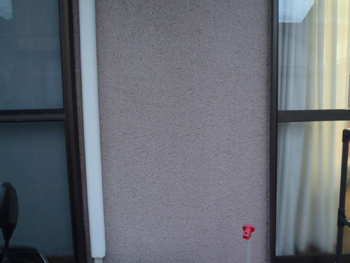 B_05_Nd_hirayamadai.JPG