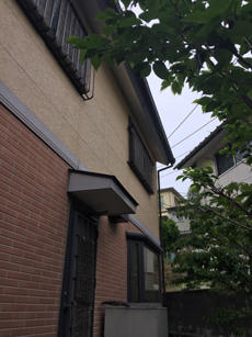 B_03_Iwng_taue.JPG