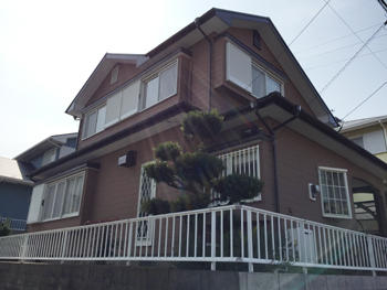 A_03_Ngse_hirayamadai.JPG