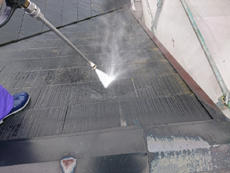S_04_Ngse_hirayamadai.JPG