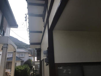 A_02_Ysd_narumidai.jpg