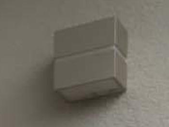 A_02_Inue_yokoo.jpg