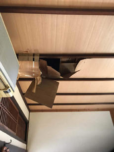 B_01_Sik_higashiyama.jpg