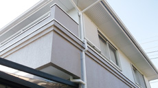 20150116t_af3.jpg