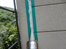 S_06_W_hirayamadai.JPG