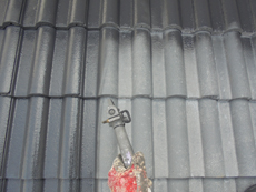 S_20150424_N_20.JPG