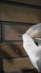 S_19_Igw_nagayo.jpg